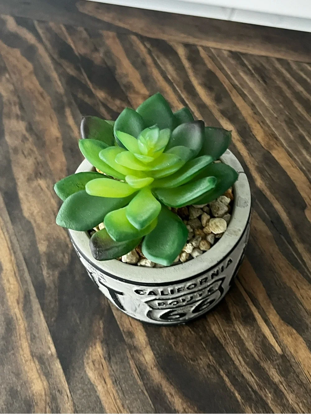 Route 66 California FAUX Succulent Planter - Green Succulent